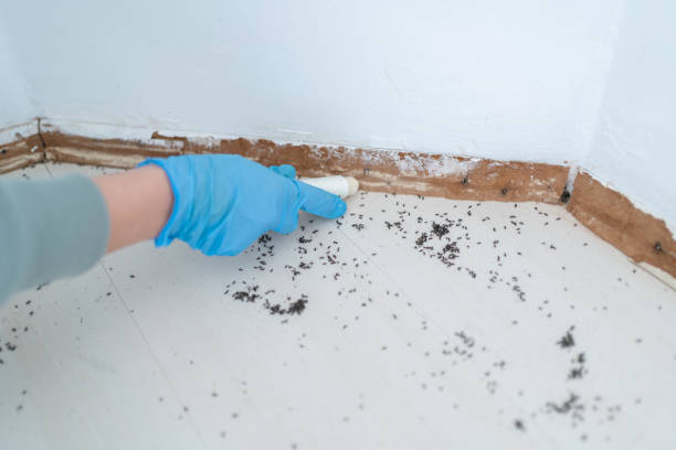 Best Pest Prevention Services  in Monroeville, IN